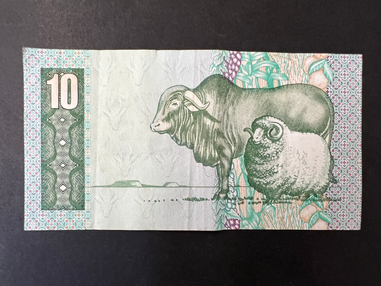 Set of 5 South African Rand Banknotes from the 1970s - 1990s , 20, 10, 5, 2, and 1 Rand