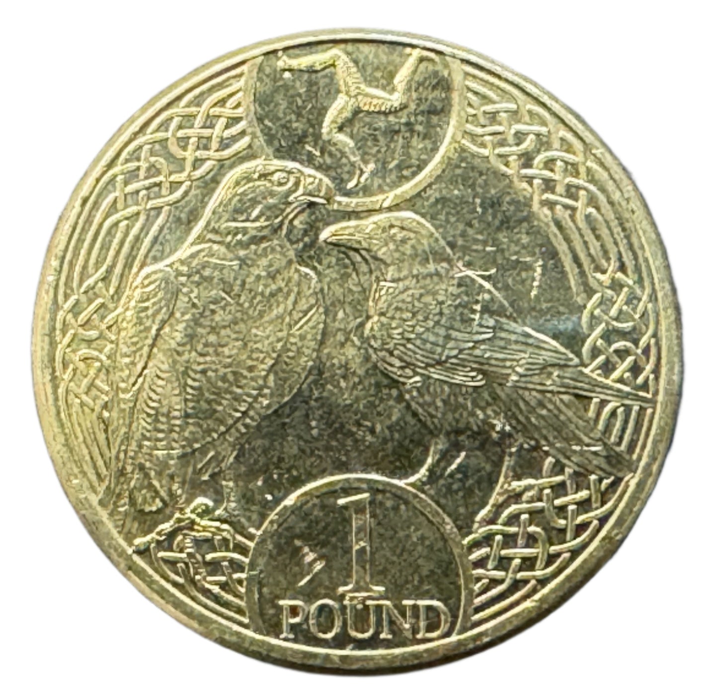Isle Of Man £1 Pound Peregrine Falcon and Raven Coin 2017-2021
